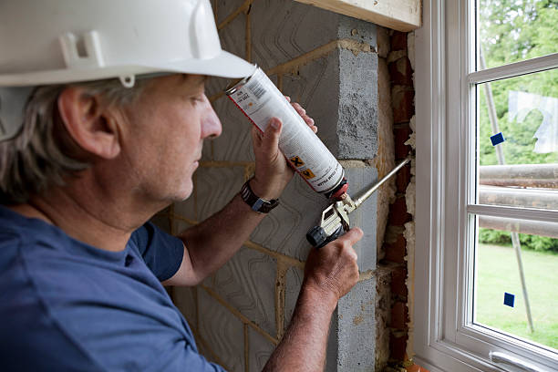 Best Insulation Removal  in Golden Triangle, NJ