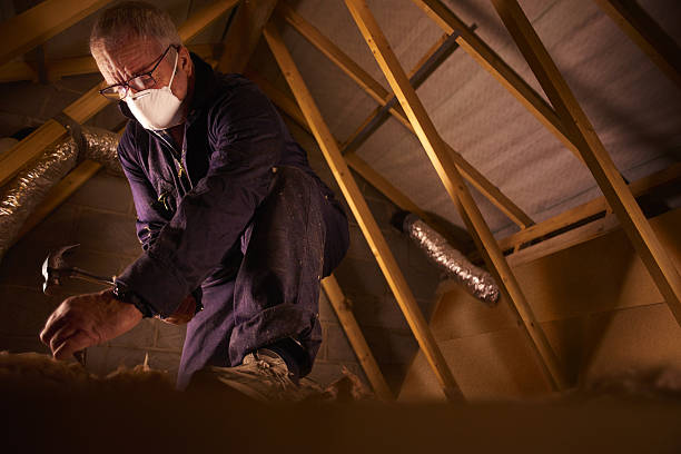 Best Insulation Replacement Services  in Golden Triangle, NJ